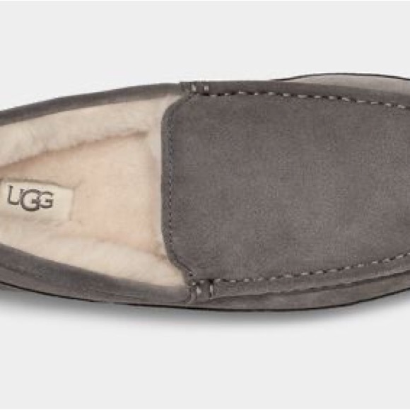 Ascot Slipper UGG - Picture 5 of 5